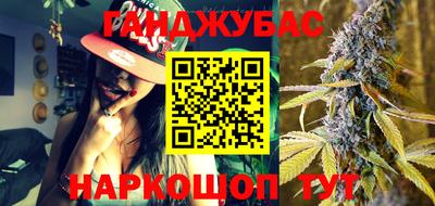 a pvp Гатчина