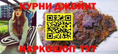 индика Гусь-Хрустальный