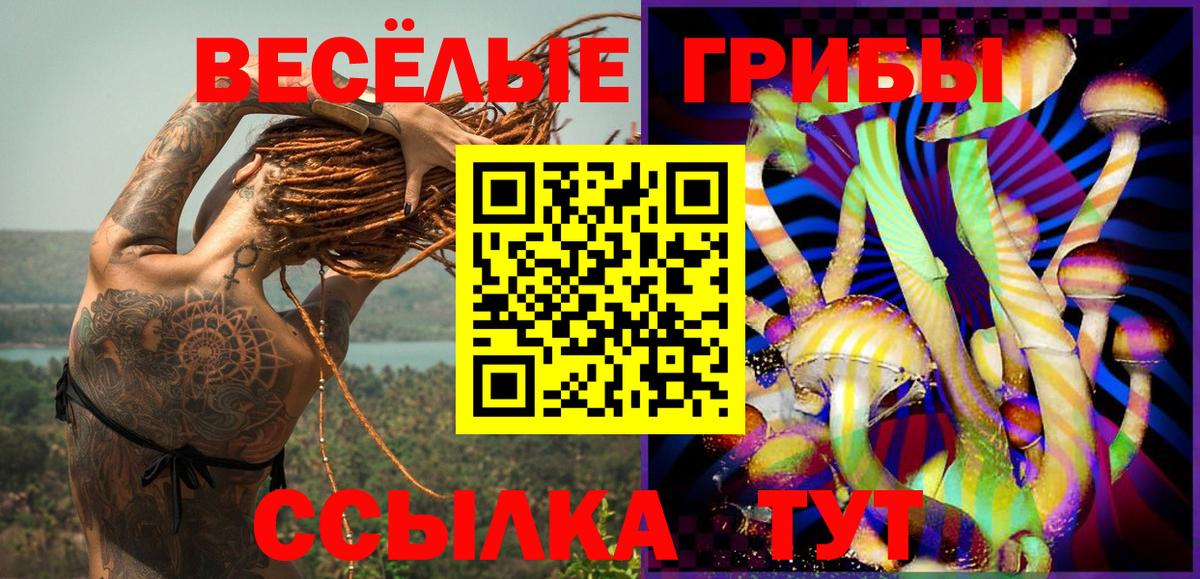 Галлюциногенные грибы Cubensis  Вход с VPN  Псилоцибиновые грибы GOLDEN TEACHER  Орёл 